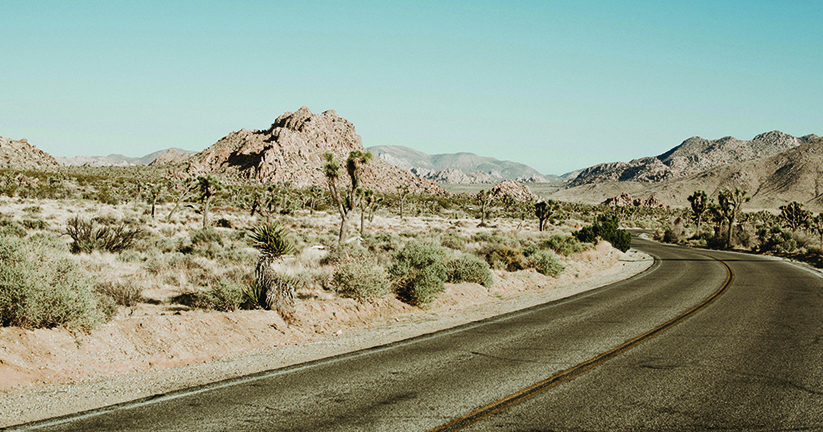 Joshua Tree National Park
