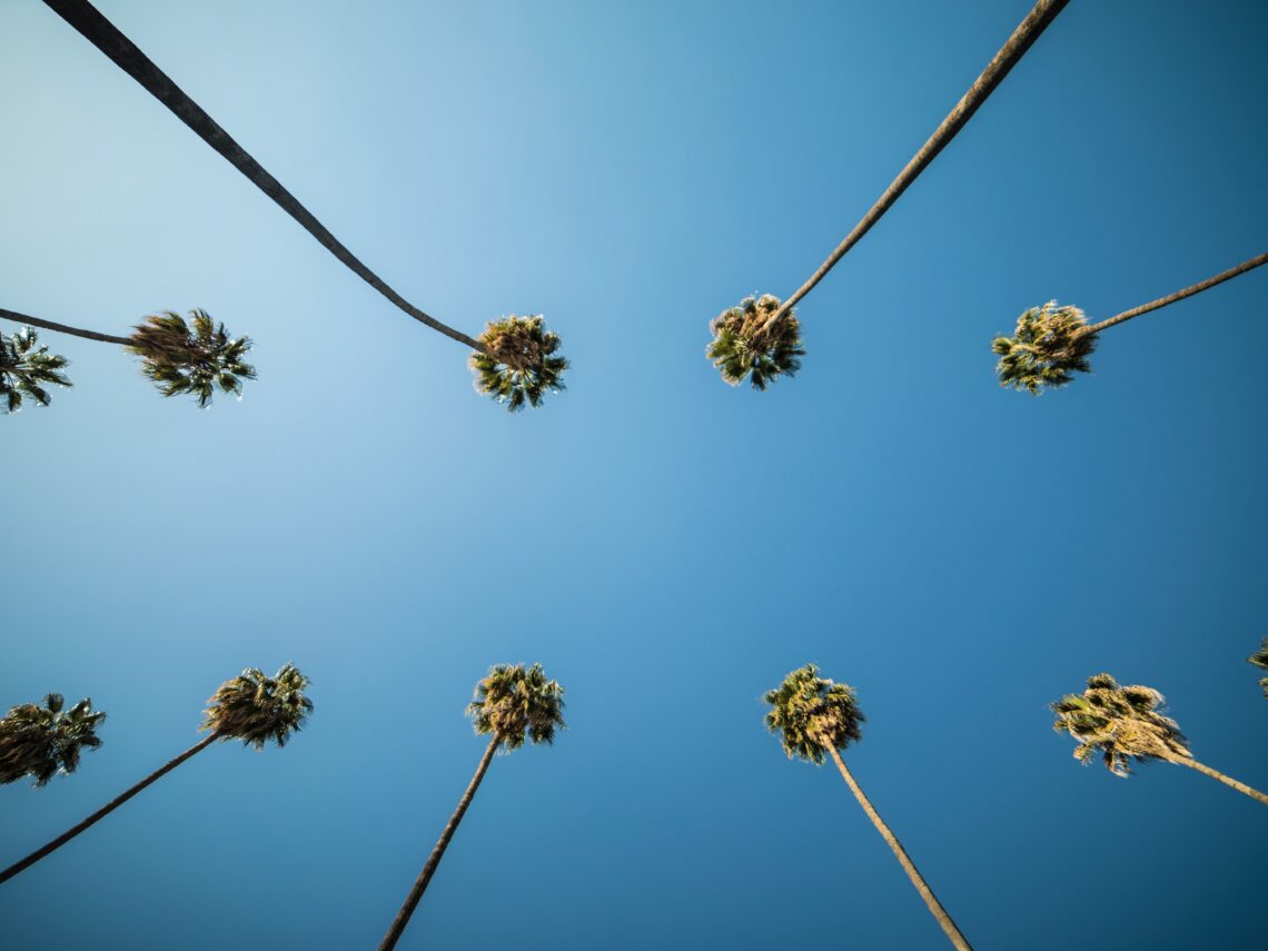 BMW Auto Service Near Culver City, CA